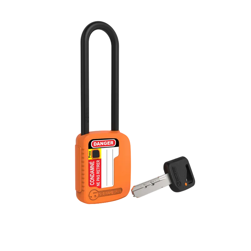 CADENAS DE CONDAMNATION À ANSE INTERCHANGEABLE - CLÉ VARIÉE