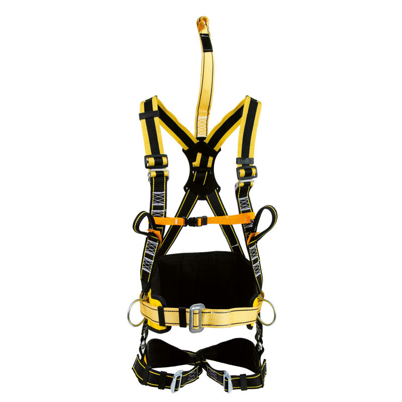 HARNAIS + CEINTURE DE POSITIONNEMENT 6 POINTS, CAUREL