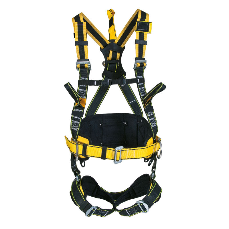 HARNAIS + CEINTURE ROTATIVE 6 POINTS, ROBSON